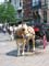 Carriage trip through Ghent